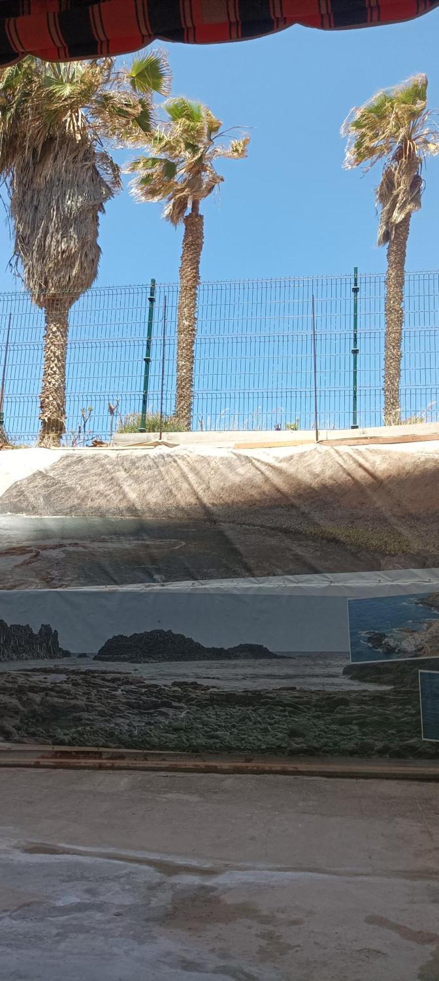 Beautiful Beach Corner Santa Cruz de Tenerife Buitenkant foto